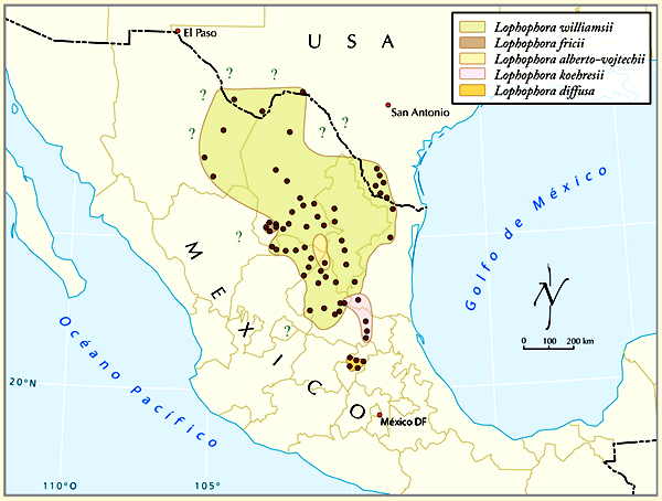 Map Of Peyote